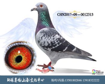 CHN201709-0012313