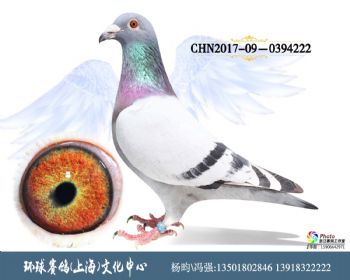 CHN201709-0394222