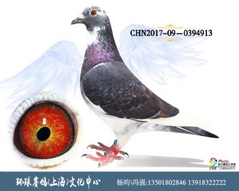 CHN201709-0394913