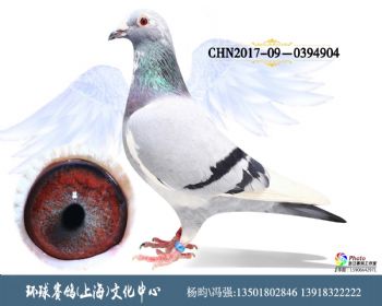 CHN201709-0394904