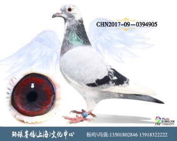 CHN201709-0394905