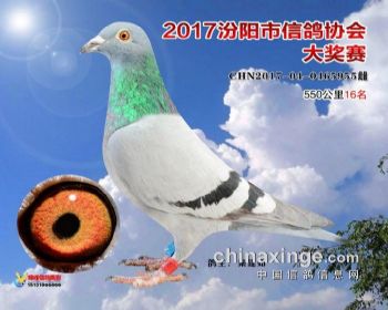 55016