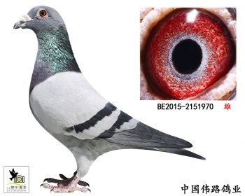 20152151970
