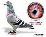 鿴ƷͼƬ