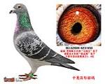 鿴ƷͼƬ