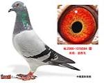 鿴ƷͼƬ