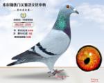 鿴ƷͼƬ