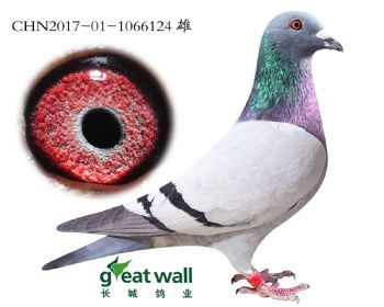 6.x³.6124