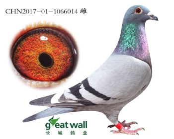 9.ɣʿxxٰ.6014