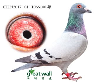 10.ϷǾ6Ѫϵ.6100