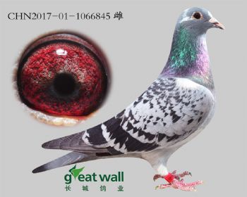 11.ҰֱŮ.6845