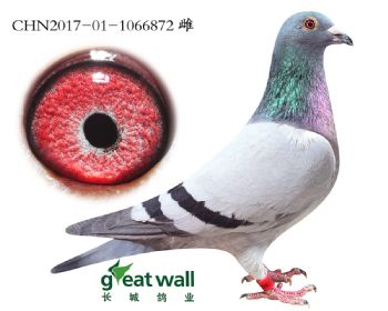 14.ǽѪ.6872