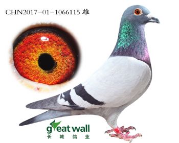 1.x¸׵.6115