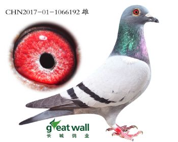 8.x˼ŵ.6192