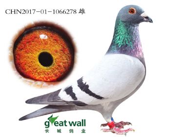 10.xʱ.6278