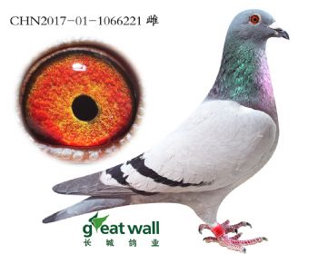 14.ٰѪϵ.6221