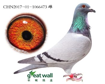 16.x÷.6473