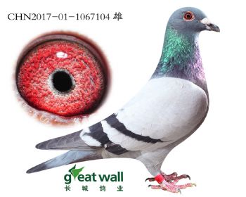 18.³Ѫϵ.7104