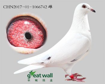 19.³˽Ѫ.6742