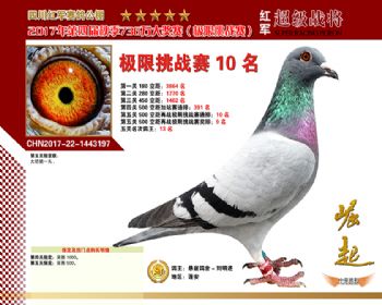 四川红军再战极限赛10名