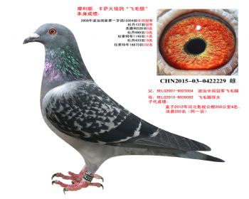   ëXëֶŮ