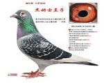 鿴ƷͼƬ
