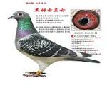 鿴ƷͼƬ