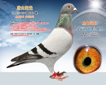 ֮