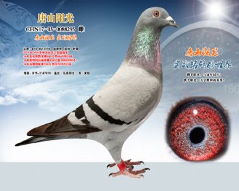 ɺӹȸ֮Ů