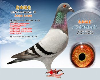 Ǳ*ɣʿ
