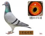 鿴ƷͼƬ