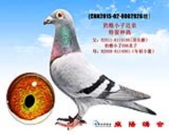 奶酪小子098直子*奶酪小子小蜜直女近亲