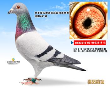 清华庄园预赛季军全父母
