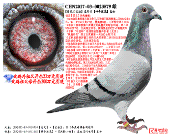 ˡֱӡϿˡֱŮ