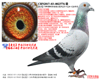 ˡ10KBDBھֱӡֱŮ 