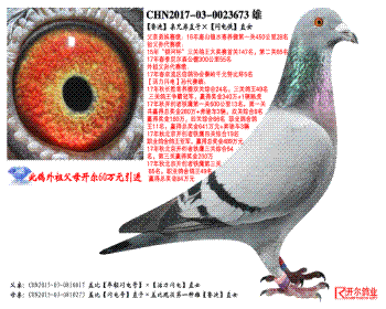 ³ϡֱֵӡֱŮ