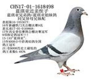 蓝琪亚近亲侄子-20