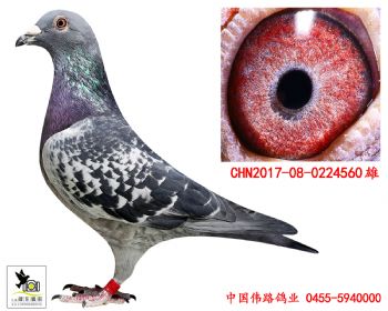 2017080224560