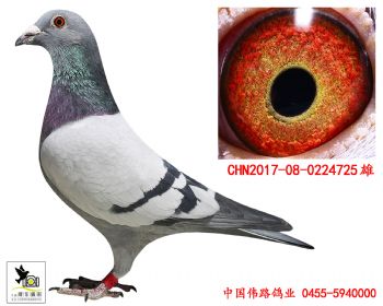 2017080224725