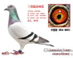 鿴ƷͼƬ